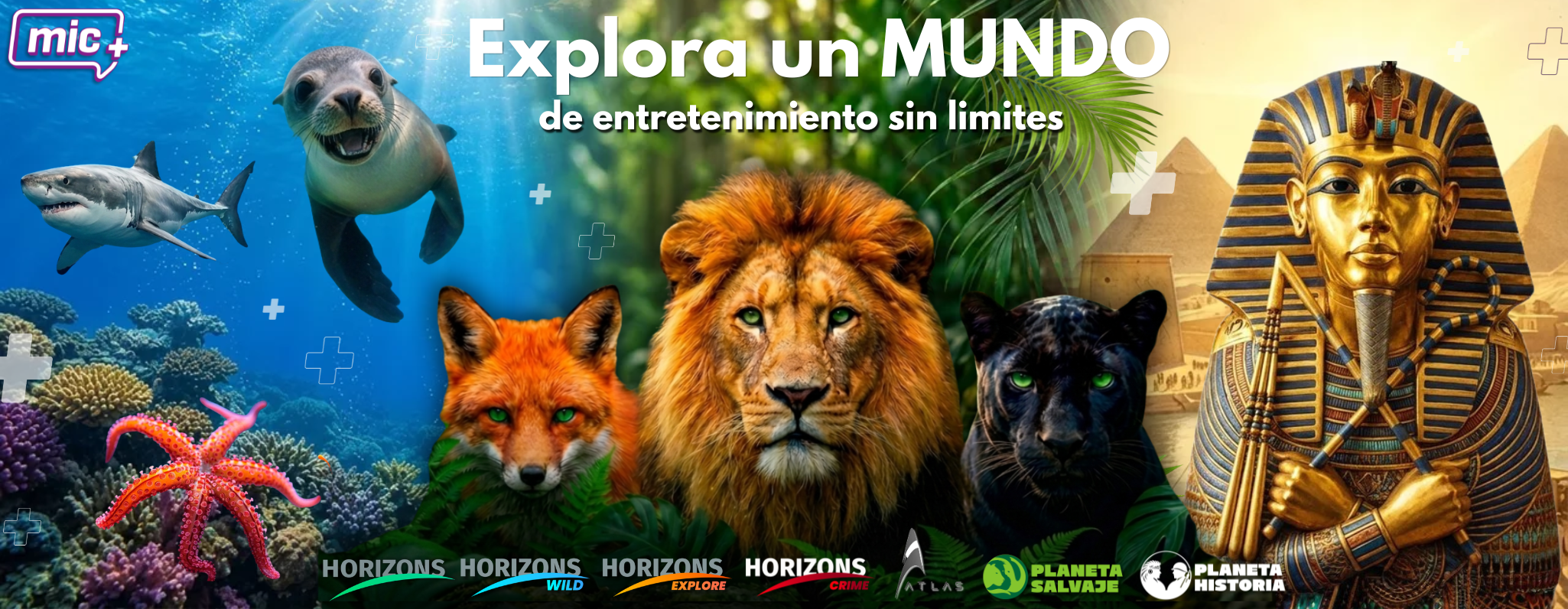 Banner MIC — Documentales